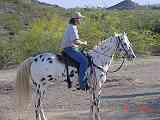 Terry Mulholland enjoys a ride at Stony Mountain Ranch
